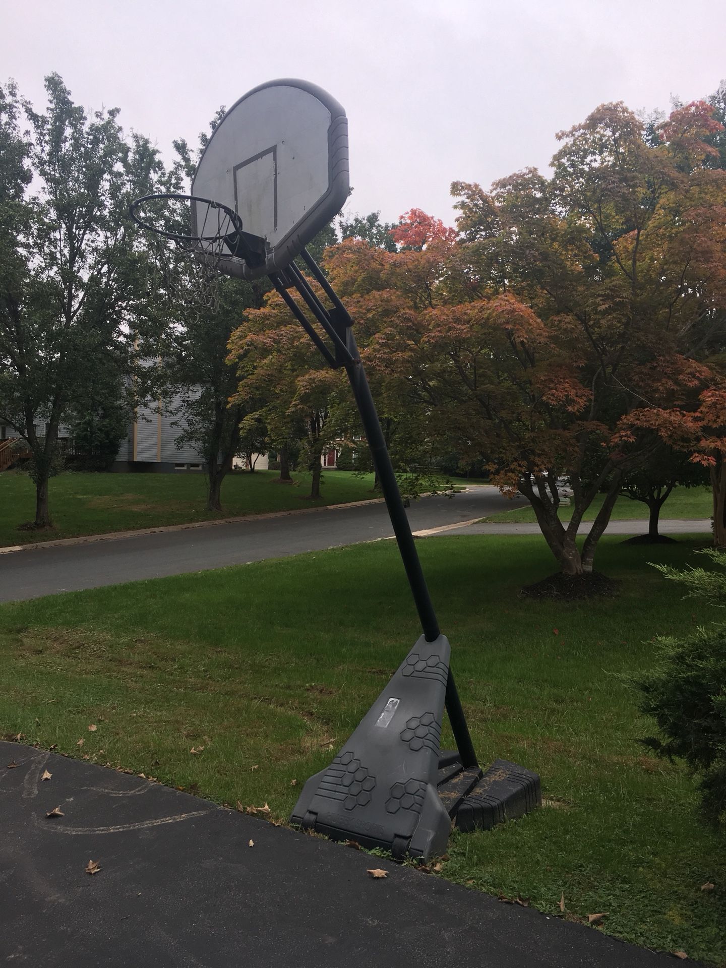 Basketball Hoop (FREE TO TAKE)