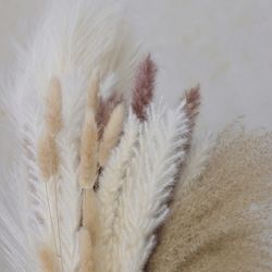 Dried Pampas Grass Decor
