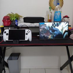 Xbox Rog Ally With 16? Inch Arzopa 