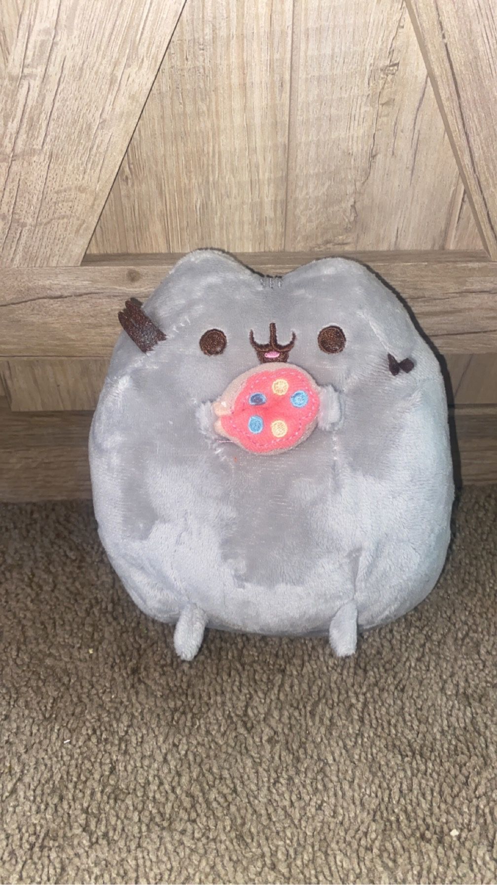 Pusheen 6’plush