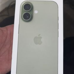 iPhone 17 Sage Green 