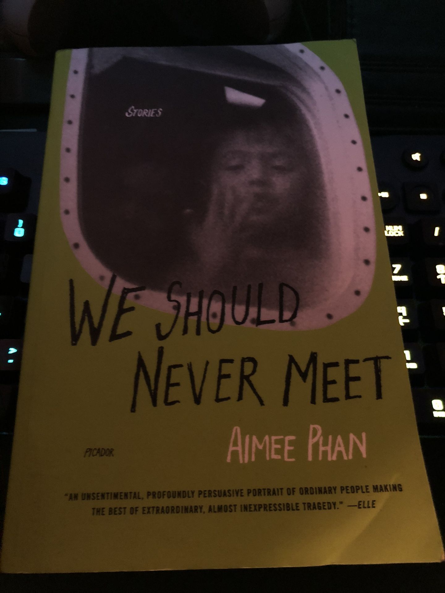 We Should Never Meet by Aimee Phan
