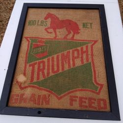 Vintage Horse Feed Sack / Framed 