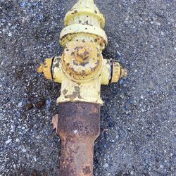 1898 Fire Hydrant 