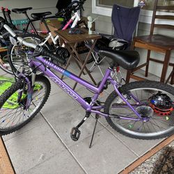 24 Inch Youth Bicycle