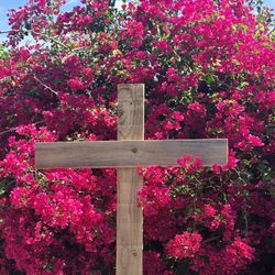 Cruz  Cross  4  por 2 1/2