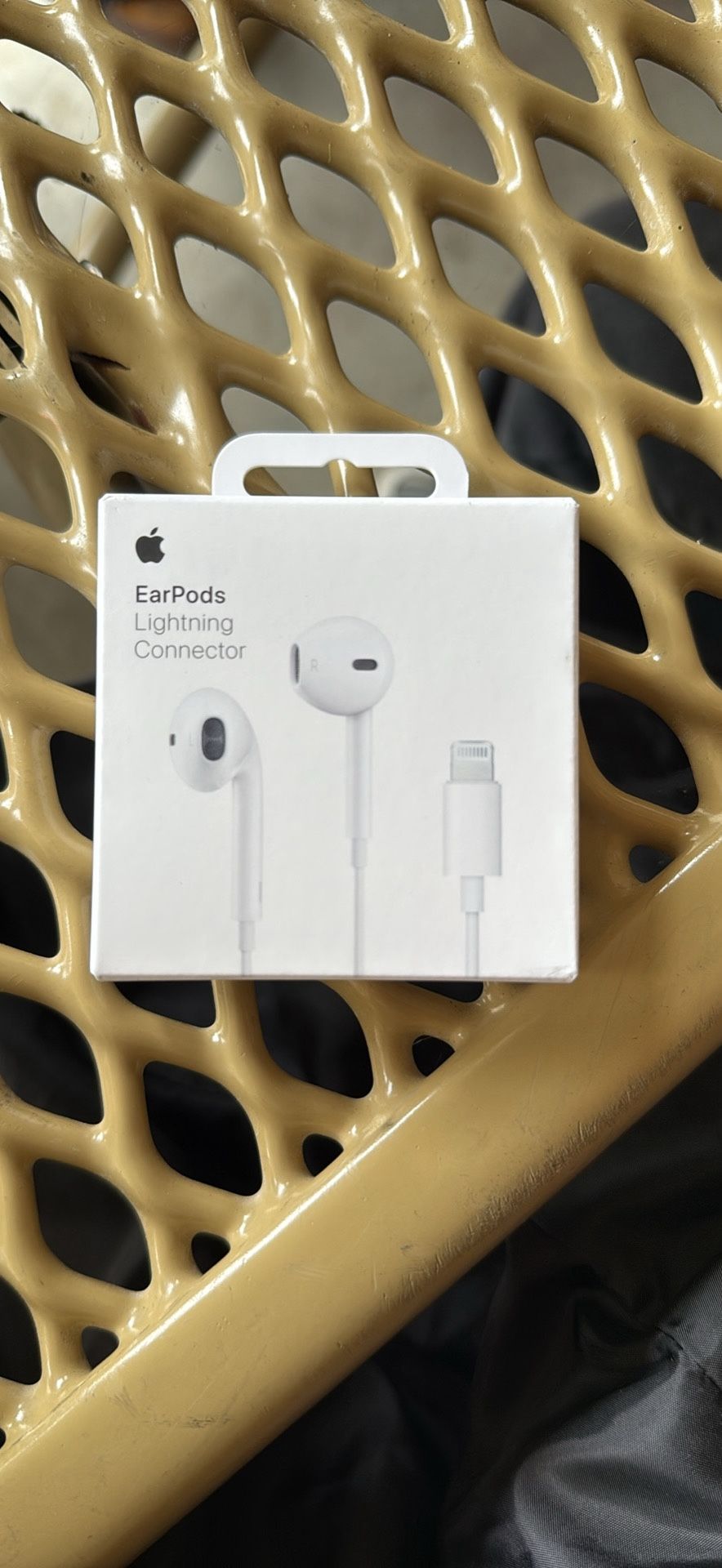 Apple Wired Headphones- Lighting Cable