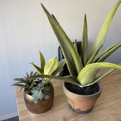 Large Fake Plant Bundle 
