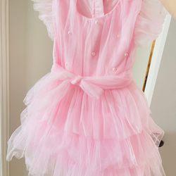 2T-3T Pink Dress + Shoes Size8
