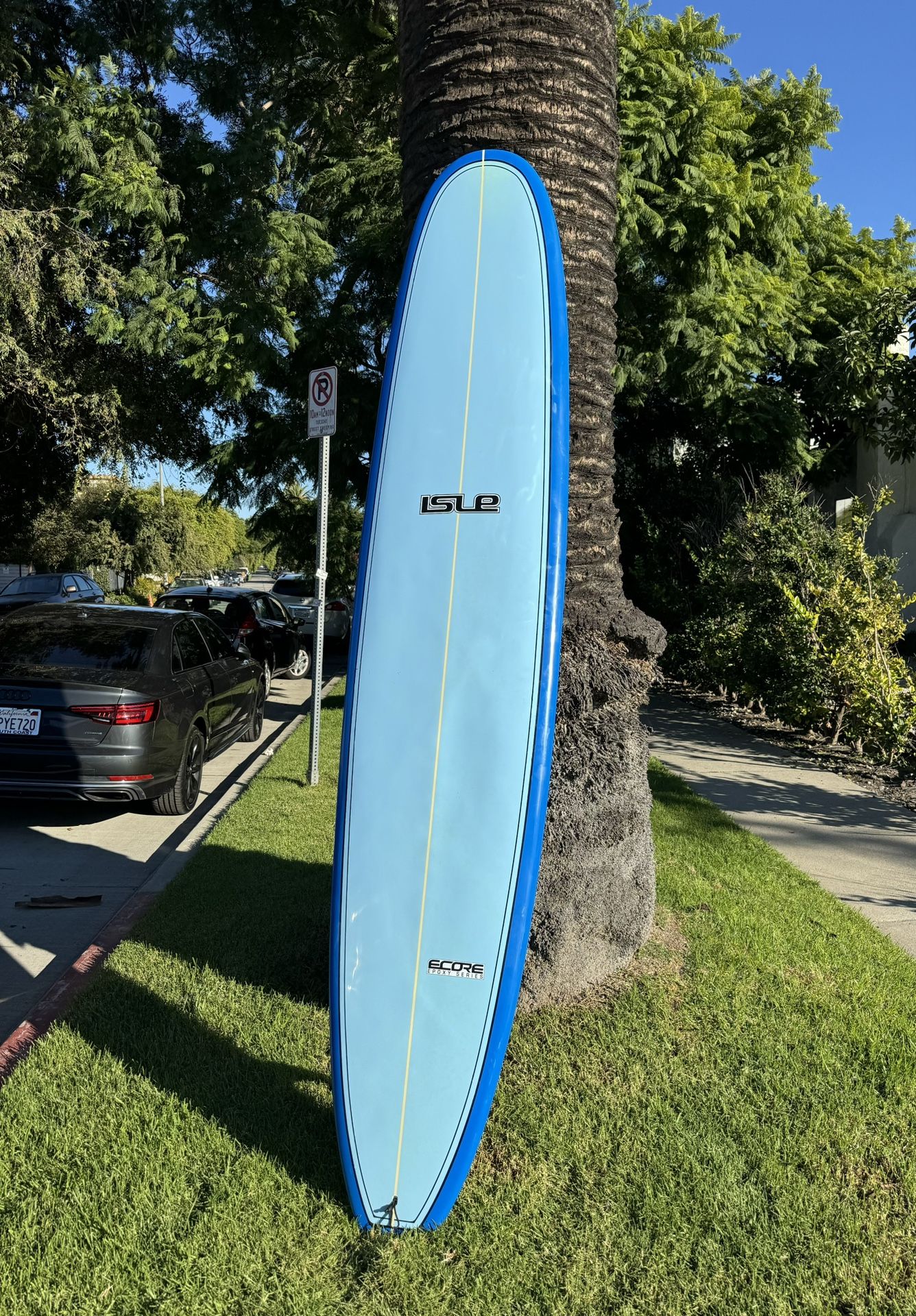9’6” Longboard Surfboard Noserider