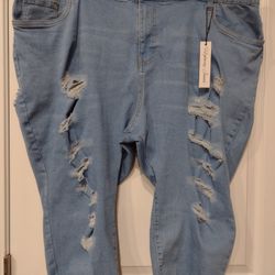 Plus Size Jeans