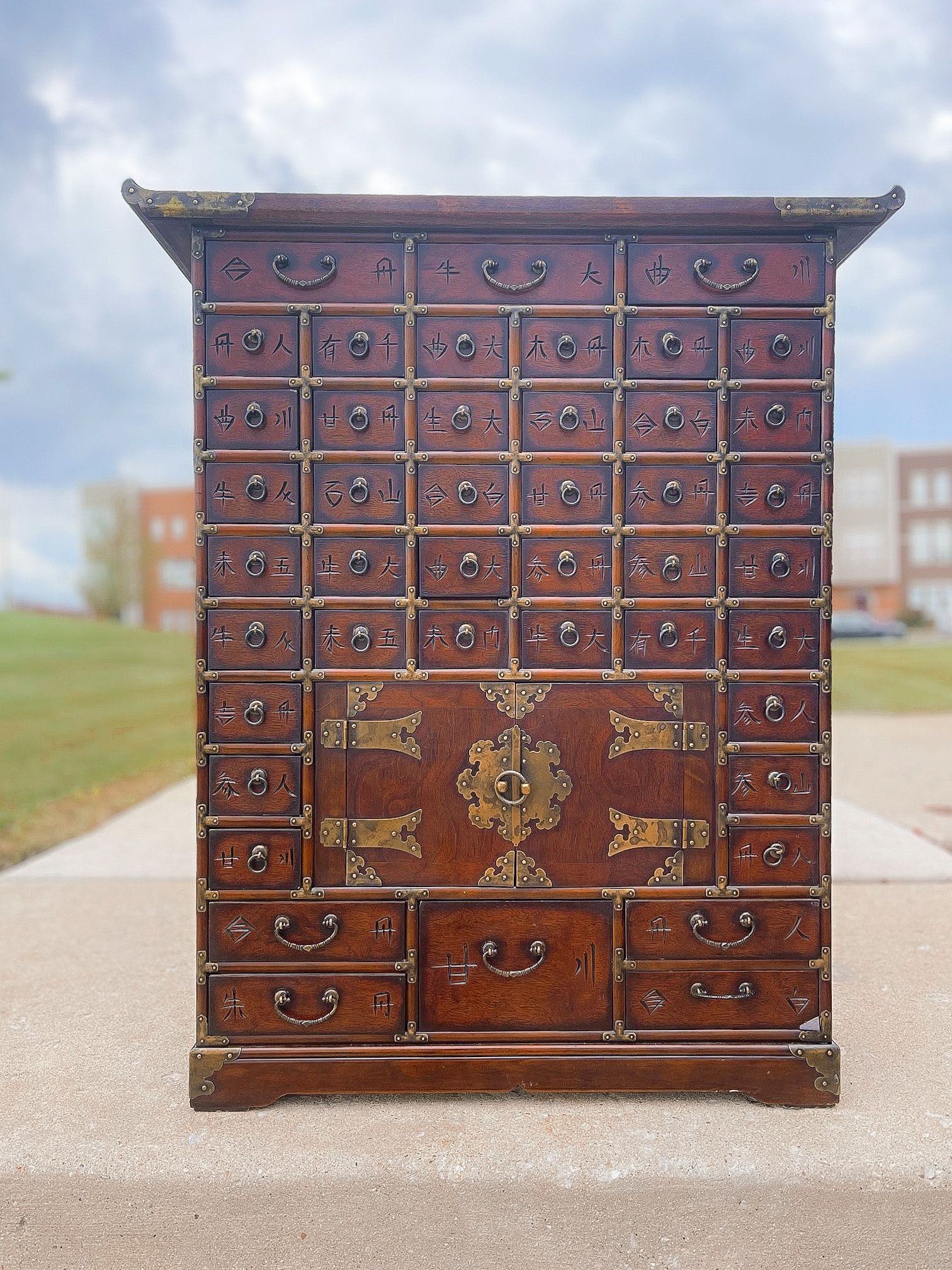 Antique 45 drawers Korean Apothecary cabinet