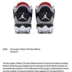 Air Jordan 3 Retro TD Cleats