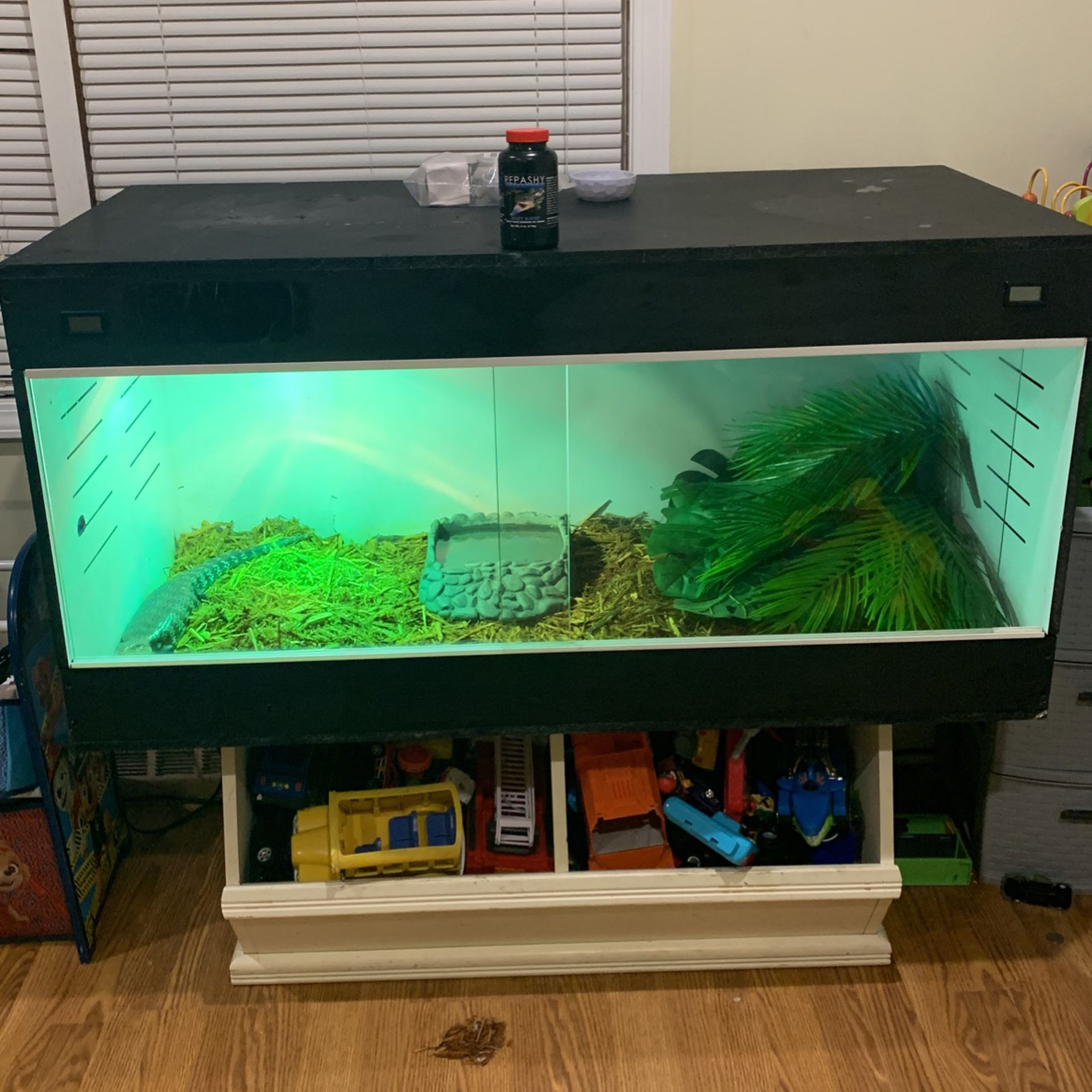 Reptile Enclosure With Everything 