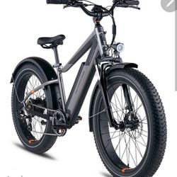 Ebikes - Radrover 6 Plus (2 Bikes)