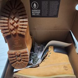 Timberland Size10