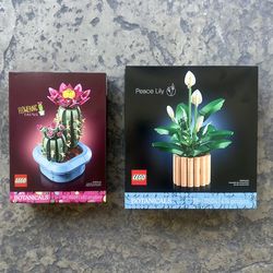 Lego Botanicals Cactus/Peace Lily Bundle