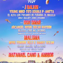 Baja Beach Fest 2025 VIP Ticket 3 Days 