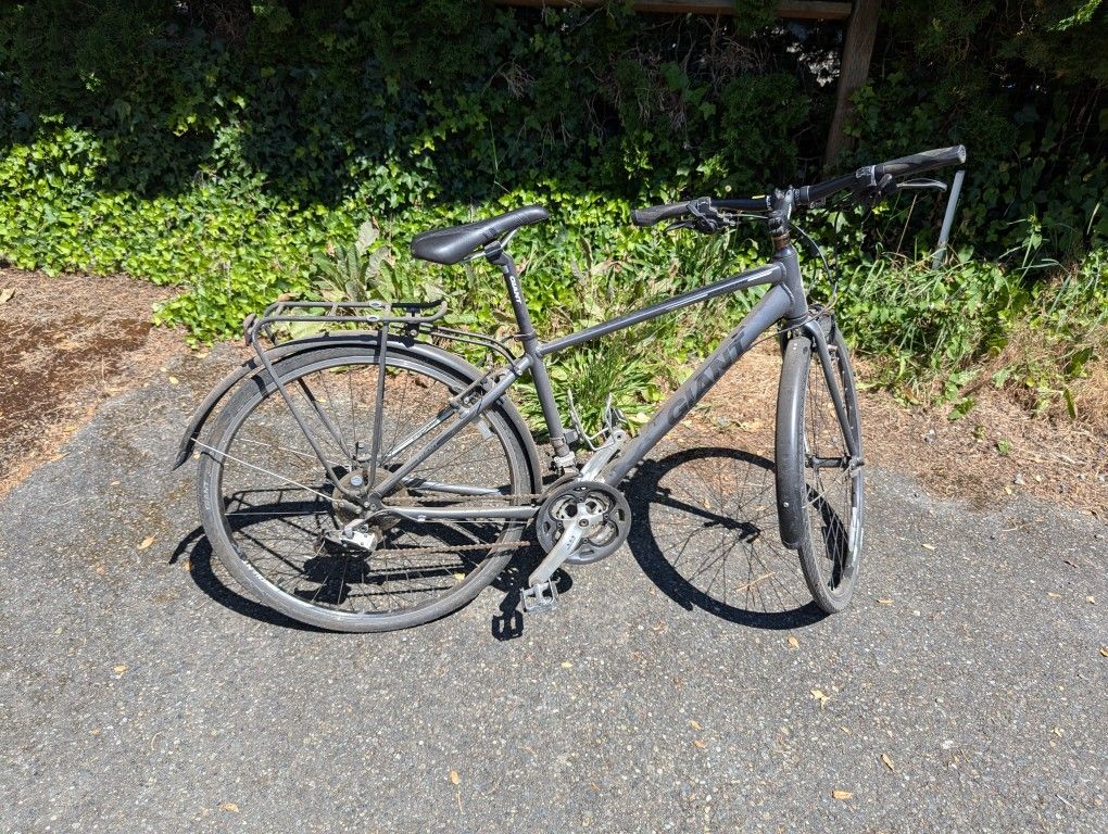 Giant Bicycle