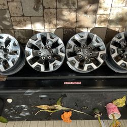 16” Rims Tacoma