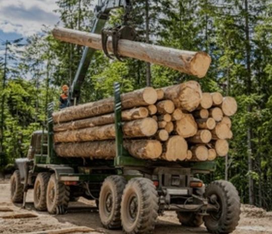 FIREWOOD Logs approx $125 crd Delivered
