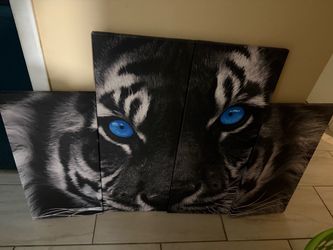 Tiger canvas print