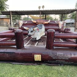 Mechanical Bull Toro Mecanico