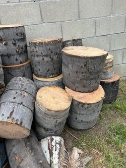 PALM TREE STUMPS