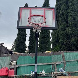 Basketball Court