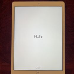 iPad Pro 12.9” 256GB Wi-Fi 2nd Gen