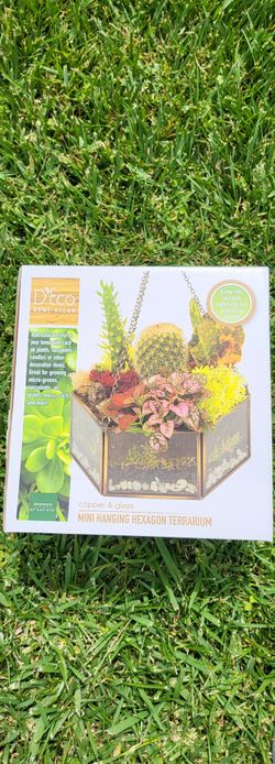 Mini Hexagon Hanging Terrarium. New. Box Never Opened 