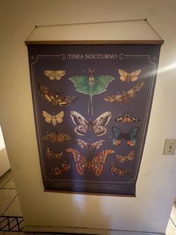 Earthbound Moth & Butterfly Banner – Tinea Nocturno