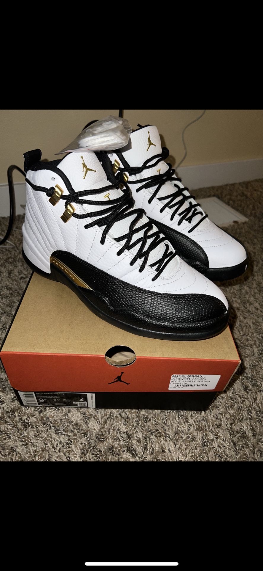 Jordan 12 Retro (taxis) 9.5