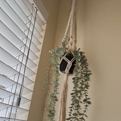 Plant Hanger