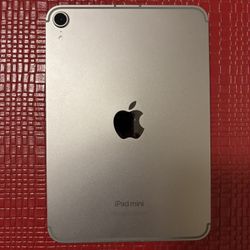 iPad mini 
