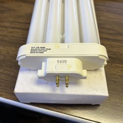 27 Watt four prong light bulb manual daylight