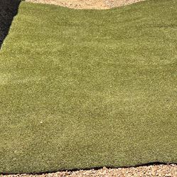 Turf Grass 8 1/2 By 12 