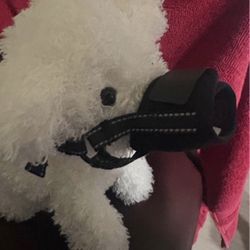 dog muzzle