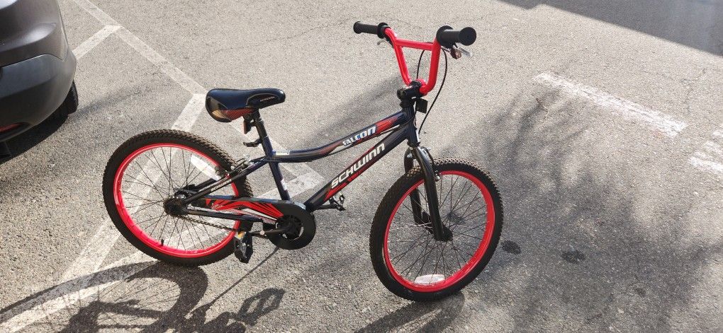 Schwinn Falcon 20" Kids Bike