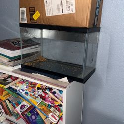 Fish Tank 