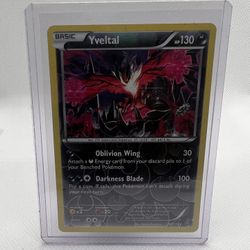 Yveltal Pokemon Card 