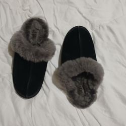 Ugg Slippers