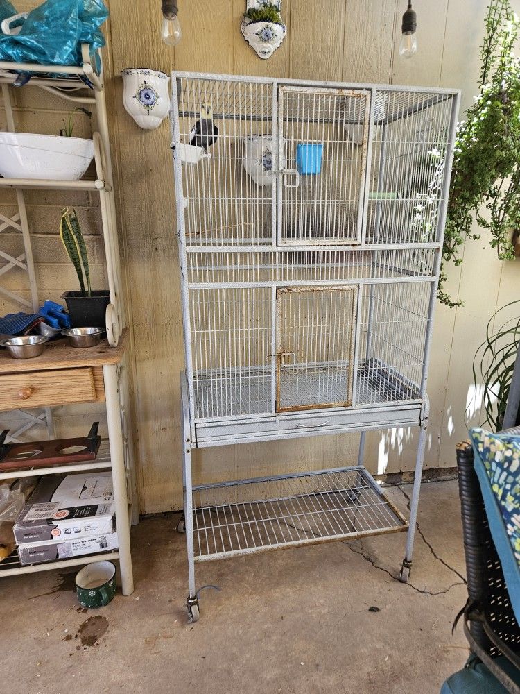 Bird Cage