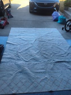 Area Rug 10x6
