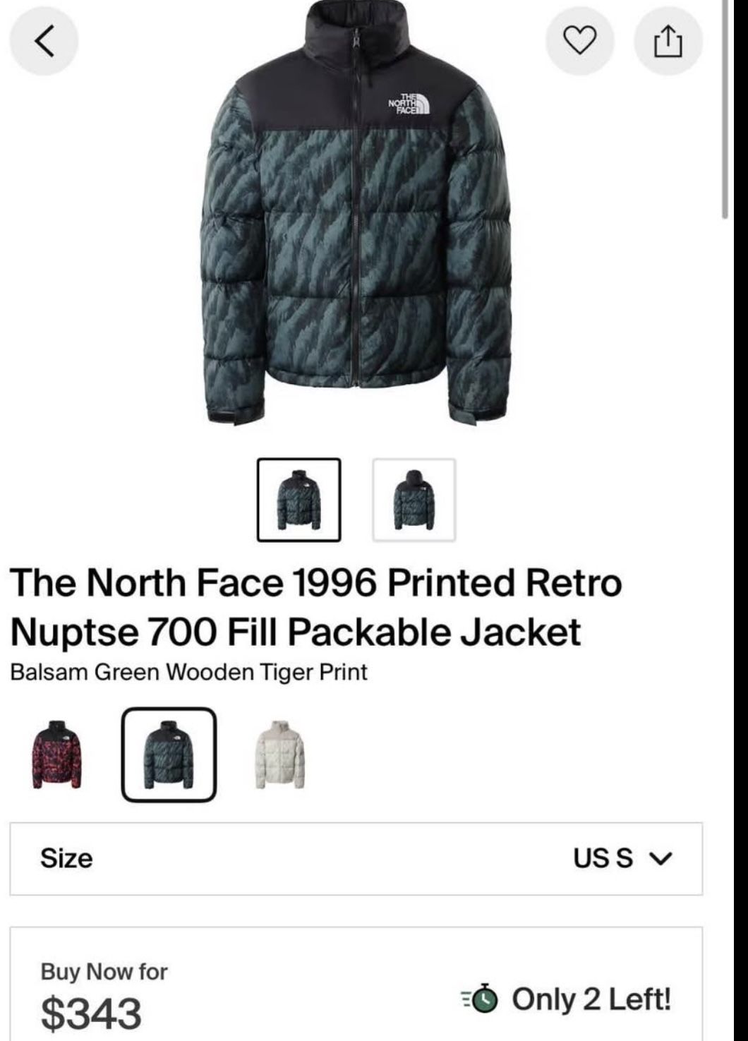 The North face 1996 Printed Retro Nuptse 700