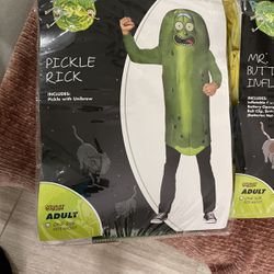Pickle Rock And Poopy Butthole Costumes 