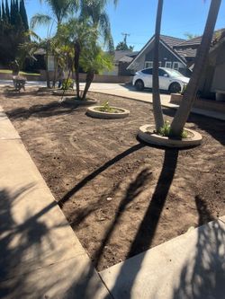 turf grass for sale
