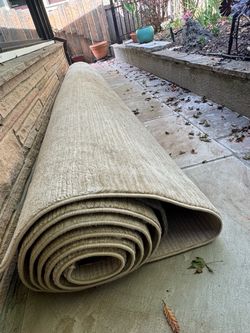 Large area rug, 10’ x 14’