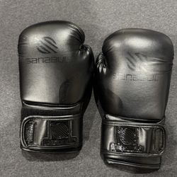 2 boxing gloves, punching mitt and headgear
