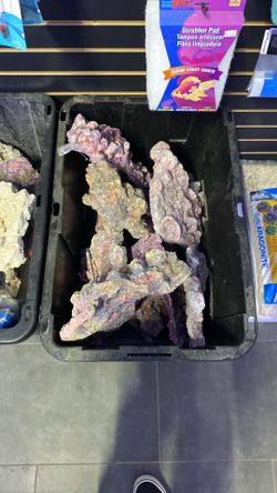 Aquarium Dry Reef Rock – Great for Reef Tanks – $9.99/lb